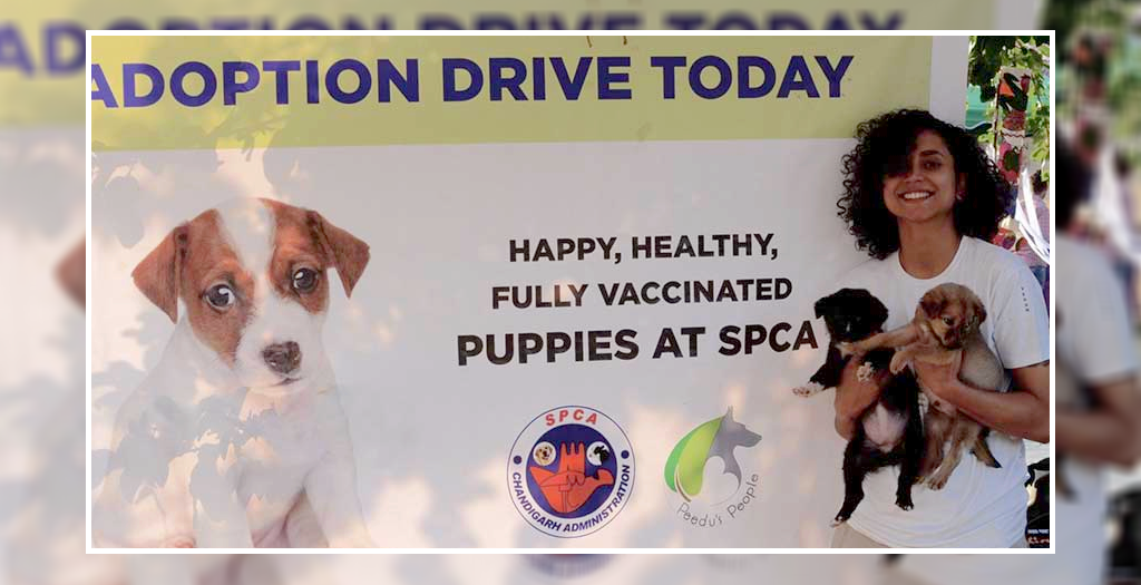 Adoption drive