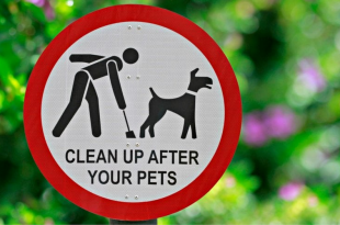 Clean up after your pets pop