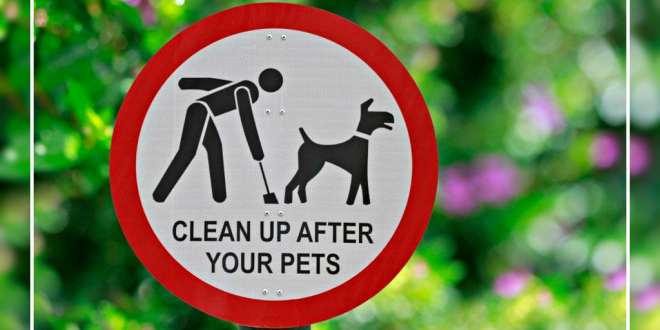 Clean up after your pets pop