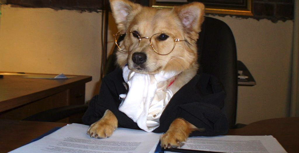 strange pet laws