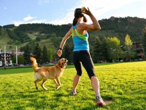 Exercise wisely your dog