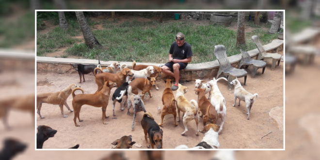 British couple takes care stray dogs