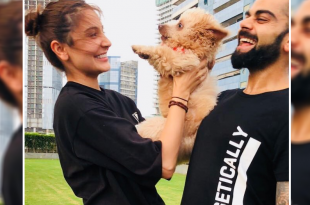 Virat Kohli And Anushka Sharma Cuddle With A Puppy