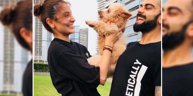 Virat Kohli And Anushka Sharma Cuddle With A Puppy