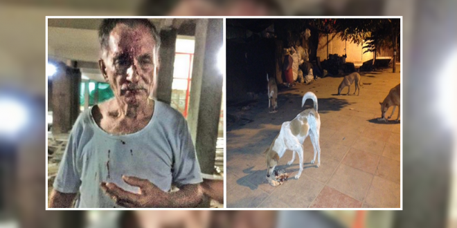 Ex-Soldier Beaten Up For Feeding Stray
