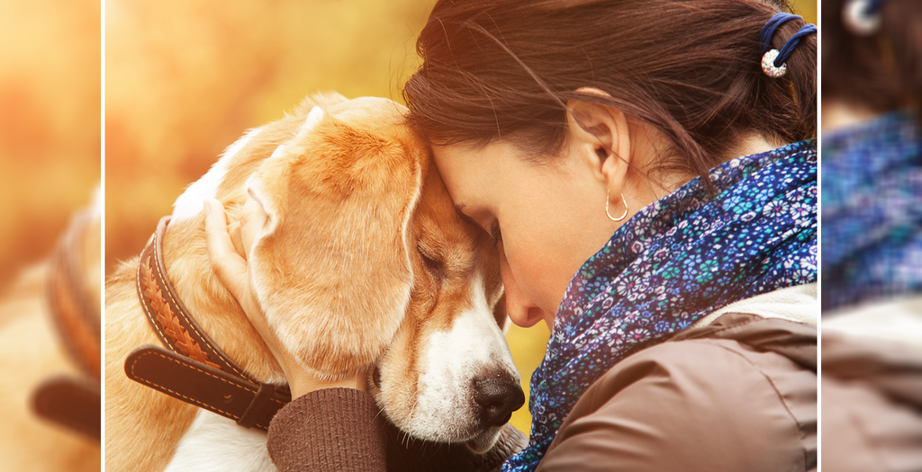 Upset dog owner