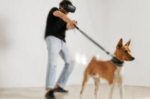 VR with Dog