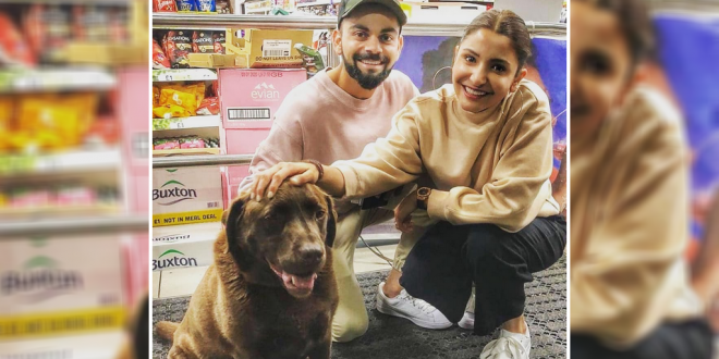 Virat and Anushka Love for dogs