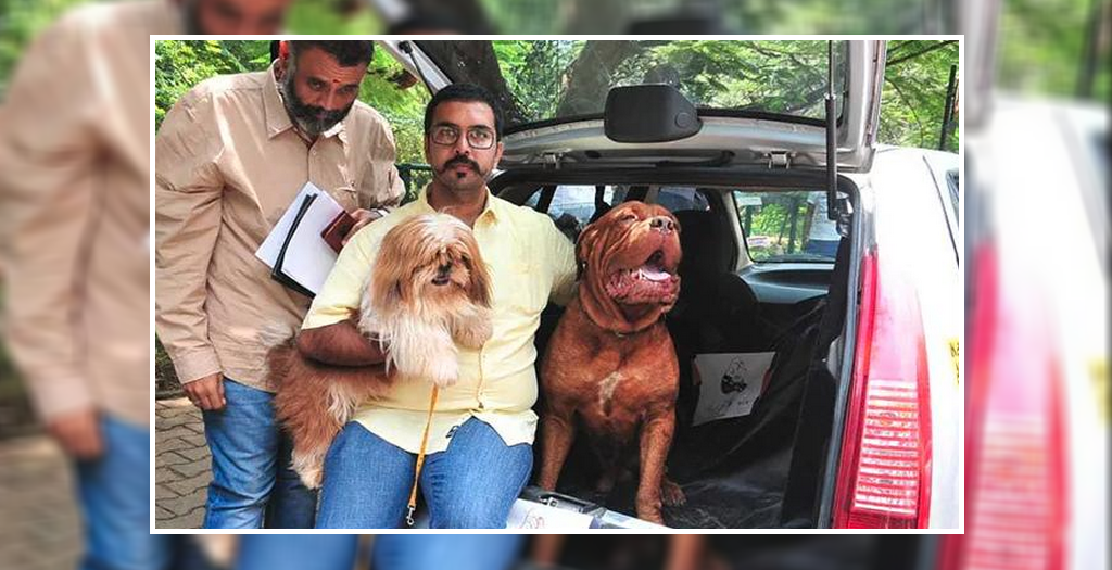 paw cab services