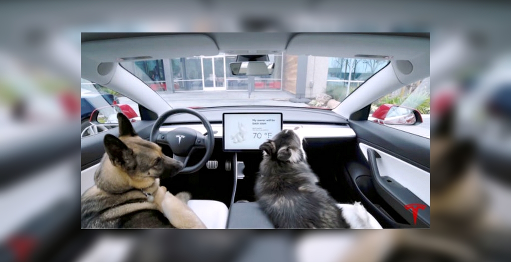 What Is Tesla Dog Mode