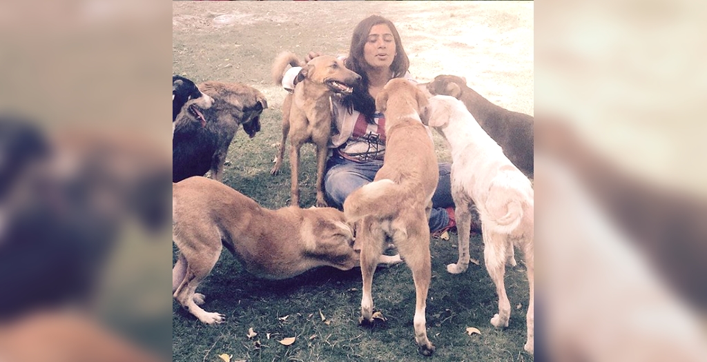 free dog adoption in greater noida