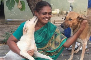 Tamil Nadu Woman Looks After 60 Dogs on Low Income