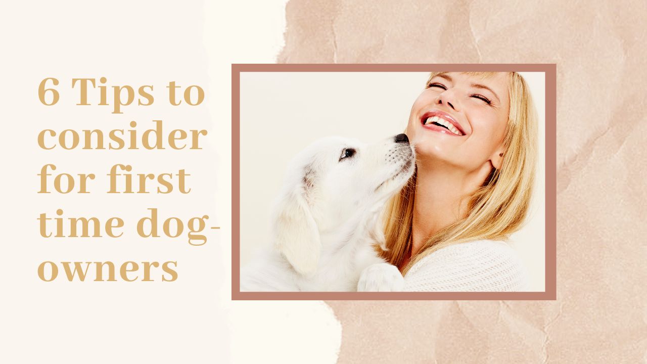 6 Tips to Consider for First Time Dog-Owners | Dog