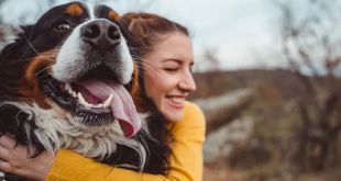 Decoding Canine Bliss: 15 Happy Dog Indicators