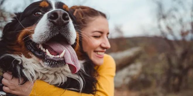 Decoding Canine Bliss: 15 Happy Dog Indicators