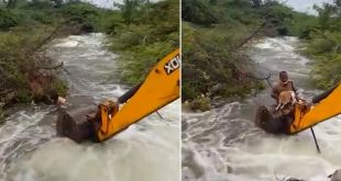 Telangana Home Guard Risks Life to Save Dog Stuck in Overflowing Stream
