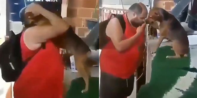 Pet Dog Greets his Hooman with a Hug in Adorable Viral Video