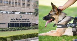 IIT-Delhi ad for Dog Handler Post Garnered Attention on Social Media