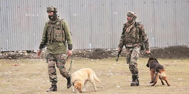 Indian Army Dogs keep Danger and Stress at bay for Soldiers in Jammu and Kashmir