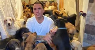 Mexican Man Opens his Home to 300 Dogs in Path of Hurricane