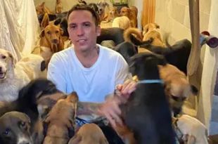 Mexican Man Opens his Home to 300 Dogs in Path of Hurricane