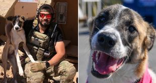 Combat Vet Soon to be Reunited with beloved Syrian Rescue Dog