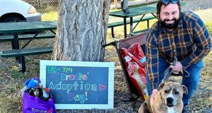 Delaware Shelter Dog Adopted After 866 Days Will Spend Holidays with a 'Family of Her Very Own'