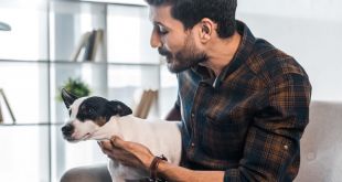 What to Do if Your Dog Hates Your New Partner