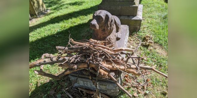 People Leave Sticks to Pay Tribute to a Dog who Died 100 Years Ago