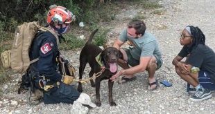Dog Survives 70 Foot fall from Texas Cliff. Tale of its Rescue is Winning Hearts