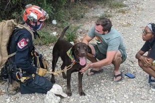 Dog Survives 70 Foot fall from Texas Cliff. Tale of its Rescue is Winning Hearts