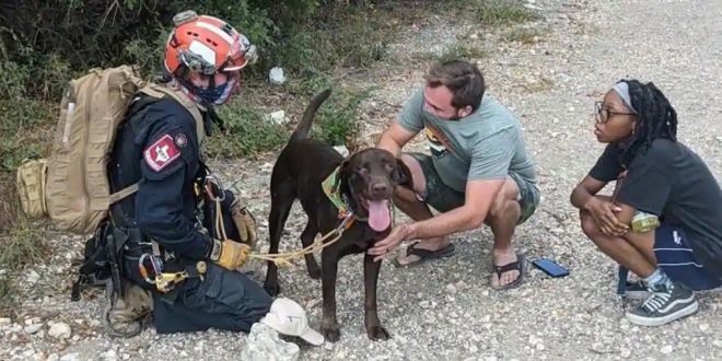 Dog Survives 70 Foot fall from Texas Cliff. Tale of its Rescue is Winning Hearts