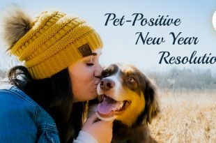 Essential Pet-Positive New Year's Resolutions for 2021