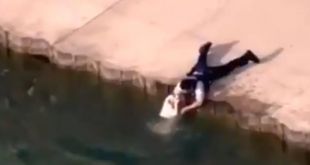 Police Officer Saves Dog from Drowning in Lake Michigan