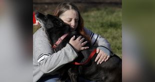 Lola the Dog Reunited with her Owners after Three Years Missing