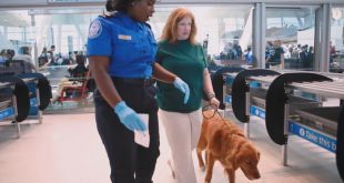 Service Dog Community Welcomes Stricter Flying Restrictions