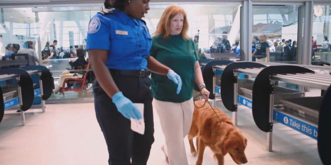 Service Dog Community Welcomes Stricter Flying Restrictions