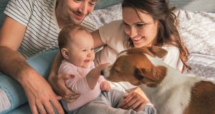 Ten Tips for Safely Introducing Your Baby To Your Dog