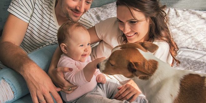 Ten Tips for Safely Introducing Your Baby To Your Dog