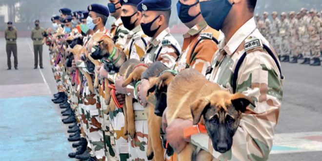 ‘Galwan’, ‘Daulat’..ITBP to Name its Dog Squad after Border Regions