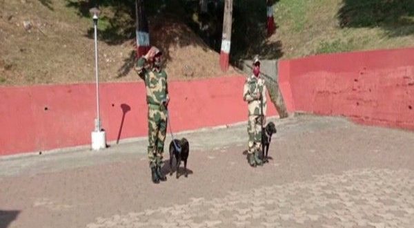 BSF To Train 2 Indian Dog Breeds For Border Patrolling
