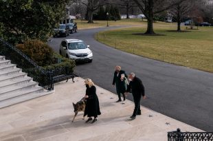 Biden’s Dogs Join him at White House
