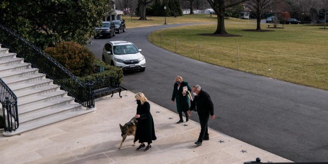 Biden’s Dogs Join him at White House