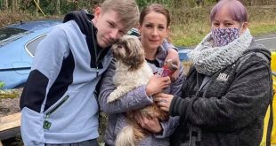 Dog Missing for 8 Years Reunited with Owner