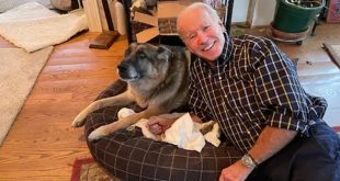 Joe Biden's Pet Pooch Major 'Indogurated' as First US Dog-elect ahead of Presidential Inauguration