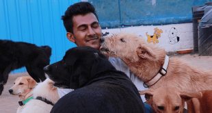 Meet the Dog-Lover from Bengaluru, Who has Rescued Over 2,000 Injured Dogs