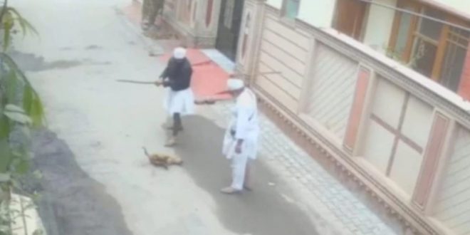 Two Arrested for Killing Stray Dog, Incident Caught on Camera