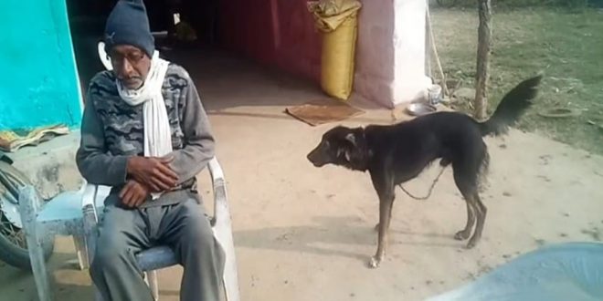 Upset with Sons' Behaviour, Farmer Wills Half of his Property to Dog