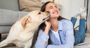 Why Your Dog Has Bad Breath + What To Do About It