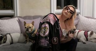 Singer Lady Gaga's Dog Walker Shot, 2 of her French Bulldogs Stolen in LA